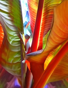 Katja Lührs Color Sound