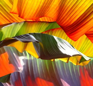 Katja Lührs Love is