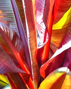 Katja Lührs More time for Love