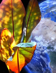 Katja Lührs Save the Earth