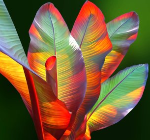 Katja Lührs Summertime