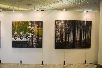 Messe Klagenfurt 2011 (ARS ARTIS Kunstversandhaus und Edition)