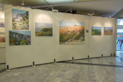 Messe Klagenfurt 2012 (ARS ARTIS Kunstversandhaus und Edition)