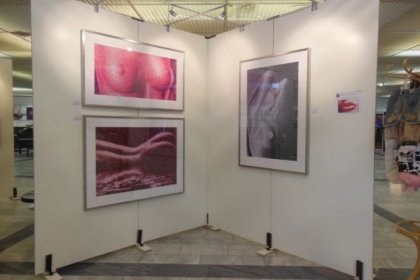 Messe Klagenfurt 2012 (ARS ARTIS Kunstversandhaus und Edition)