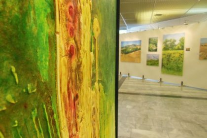 Messe Klagenfurt 2013 (ARS ARTIS Kunstversandhaus und Edition)