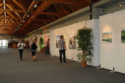 Messe Klagenfurt 2014 (ARS ARTIS Kunstversandhaus und Edition)