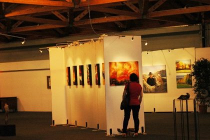 Messe Klagenfurt 2014 (ARS ARTIS Kunstversandhaus und Edition)