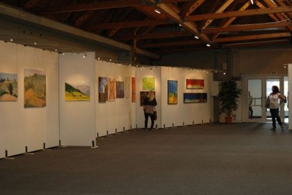 Messe Klagenfurt 2014 (ARS ARTIS Kunstversandhaus und Edition)