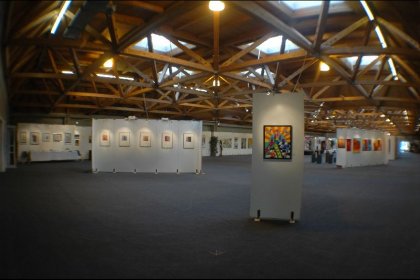 Messe Klagenfurt 2014 (ARS ARTIS Kunstversandhaus und Edition)