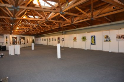 Messe Klagenfurt 2015 (ARS ARTIS Kunstversandhaus und Edition)