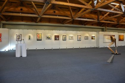 Messe Klagenfurt 2015 (ARS ARTIS Kunstversandhaus und Edition)