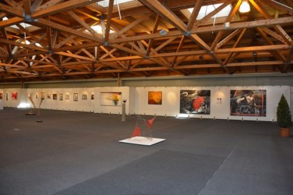 Messe Klagenfurt 2015 (ARS ARTIS Kunstversandhaus und Edition)