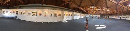 Messe Klagenfurt 2016 (ARS ARTIS Kunstversandhaus und Edition)