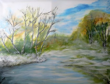 Zugefrorener See von Anita Daldoss