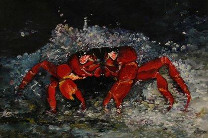 Krabbe von Birgit van der Gang