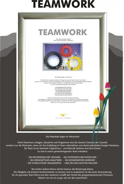 Teamwork von Ingo Maria Sternberg