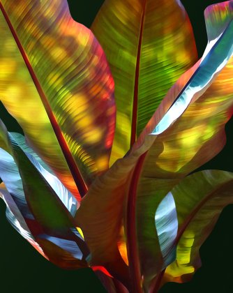 Magic of Light II von Katja Lührs