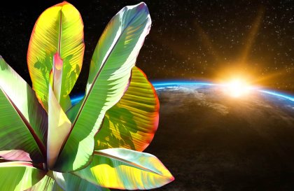 Save the Earth 1 von Katja Lührs