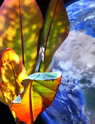 Save the Earth von Katja Lührs