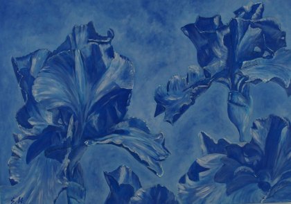 Schwertlilien in blau von Siegfried Huber